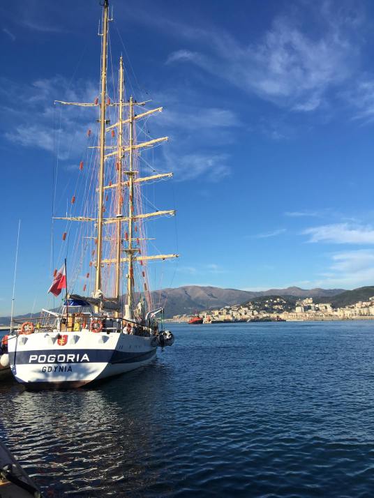 50337237_1978498162258252_9081777371811414016_n